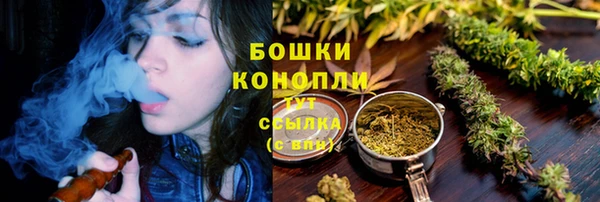 бошки Новодвинск