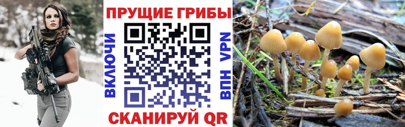 Псилоцибиновые грибы мухоморы  Купить  Когалым 